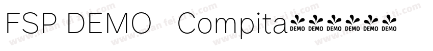 FSP DEMO   Compita字体转换